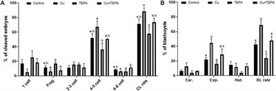 Copper deficiency affects the developmental competence of porcine oocytes matured in vitro